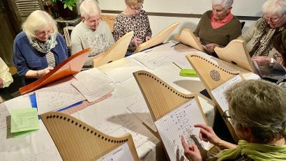 Bild: Gerhard Krones
Die Veeh-Harfe ist ein Instrument, das beim Spielen keine Notenkenntnisse voraussetzt. Ein "Blatt" unter den Saiten zeigt die zu zupfende Saite an