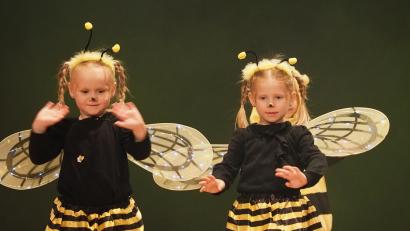Bild: kek
Die „Minis“ flogen in Biene-Maja-Kostümen zu ihrem Premieren-Auftritt ein.