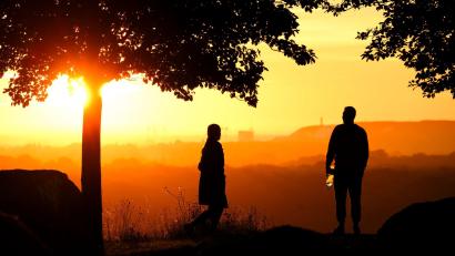 Bild: Julian Stratenschulte/dpa
Wer passt zu mir? (Illustration)