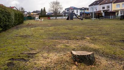 Bild: lum
Etwas trostloser wirkt der Hans-Müller-Spielplatz am Naabberg in Erbendorf nun, da die vier Eichen verschwunden sind.