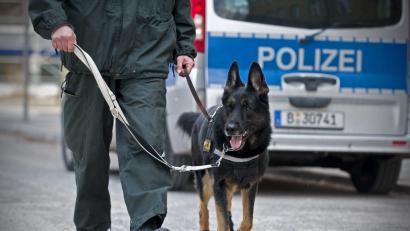 Symbolbild: Jan-Philipp Strobel/dpa
Die Polizei suchte in Bad Kötzting unter anderem mit Hunden nach einem vermissten Mädchen.