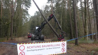 Bild: rn
Der Sicherheit von Waldspaziergängern dient ein neues unübersehbares Hinweisschild