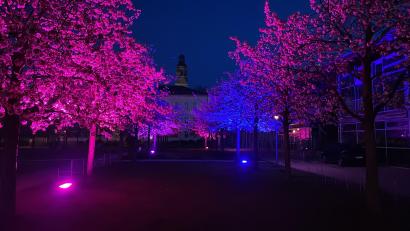 Bild: Lucas Distler/exb
Lucas Distler verwandelt den OTH-Campus am Samstag, 12. April, in eine House-Wunderlandschaft.