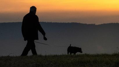 Symbolbild: Sebastian Gollnow
So friedlich blieb es nicht beim Gassi-Gehen: Zwei Männer gerieten sich in die Haare. Einer bekam Schläge auf den Kopf.