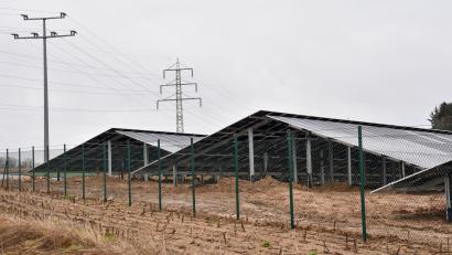 Symbolbild: Stephan Huber
Die Pläne für die Solarparks in Pruihausen und Namsreuth stoßen auf zwiespältige Reaktionen im Königsteiner Marktrat.