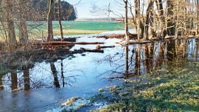 Bild: fpoz
Zwischen Neumühle und Masch hat der Biber seinen Damm gebaut. Das aufgestaute Wasser fließt nun über die angrenzenden Wiesen.