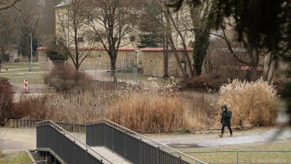Bild: Wolfgang Steinbacher
Still ruht das inzwischen Goldfisch freie Nicht-Biotop im Amberger Stadtgraben. Der Stadtrat hat sich am Montag erneut mit dem Umbau zum Wasserspielplatz befasst.