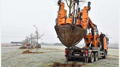 Bild: Petra Hartl
Die Rundspatenmaschine im Einsatz. Zuerst wird die Pflanzgrube ausgehoben, dann der Baum eingesetzt.