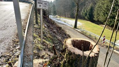 Bild: Gabi Schönberger
Drei größere Bäume und mehrere Büsche wurden Ende Januar entlang der Kreisstraße 29 bei Mitterhöll gerodet. Dabei handelt es sich um Vorarbeiten zur geplanten Hangabsicherung an dieser Stelle.
