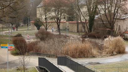 Bild: Wolfgang Steinbacher
Das Biotop im Amberger Stadtgraben war wieder einmal Thema im Amberger Stadtrat. Mit dem Ergebnis, dass hier ein Wasserspielplatz für Kleinkinder entstehen soll.