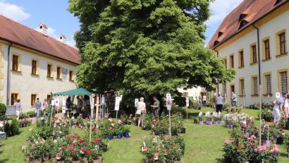 Bild: Stadt Tirschenreuth/Mirko Streich/exb 
Der Innenhof des barocken Fischhofs in Tirschenreuth bietet seit Jahren die perfekte Kulisse für besondere Events wie den Gartentagen (im Bild die Veranstaltung 2022). Heuer sollen im Innenhof erstmals auch Schoppen- und Serenaden-Abende stattfinden.