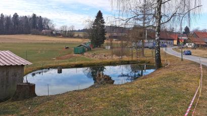 Bild: Gertraud Portner
Der Dorfweiher in Rackenthal soll ertüchtigt, das Areal ringsum mit Obstbäumen und Rastplätzen gestaltet werden.