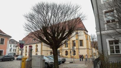 Bild: Wolfgang Steinbacher
Die Robinie am Schrannenplatz wird gefällt: Der Baum ist nicht mehr fit, er könnte damit Passanten gefährden.