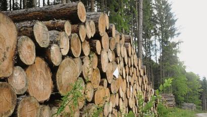 Symbolbild: ge
Die Forstbetriebsgemeinschaft (FBG) Amberg-Schnaittenbach vermarktete im vergangenen Jahr fast 140.000 Festmeter Holz.