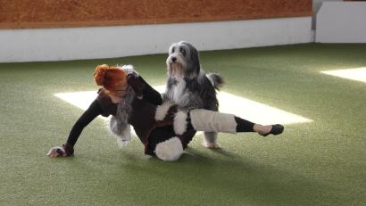 Bild: kro
Gerlinde Krachler aus Österreich mit ihrem Hund in einer tollen Choreographie beim Dogdance-Turnier in Mähring.