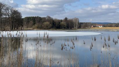 Bild: ge
Ein Weiher bei Süß.