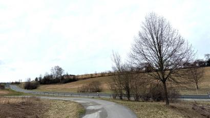 Archivbild: Eichl
Für den geplanten Solarpark an der Störnsteiner Spange fordert der Bund Naturschutz eine Ausgleichsfläche für die Feldlerche.
