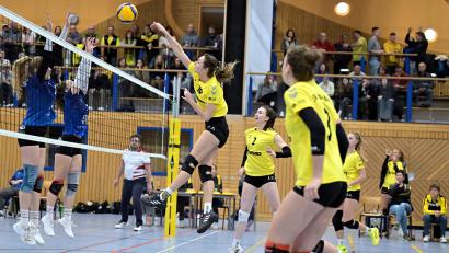 Bild: Hubert Ziegler
Schöner Schmetterball von Spielertrainerin Conny Sollfrank vom SV Hahnbach, beobachtet von Sara Sasic, Mira Sperber und Zuspielerin Elisabeth Kiehn (von rechts). Die Szene stammt aus dem Spiel von vergangener Woche gegen den MTV Rosenheim (1:3). Am Samstag tritt der SV beim TSV Eibelstadt im Kellerduell an.