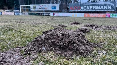 Bild: Gabi Schönberger
Der Fußballplatz des ASV Neustadt gleicht derzeit eher einem Acker.