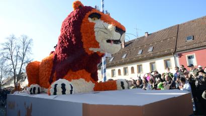 Bild: bey
Der "König der Löwen", mit vielen Papierrosen in Form gebracht, ist Teil des tollen Prinzenwagens.