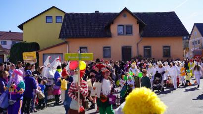 Bild: fvo
Mit dem "1. Waldthurner Gänsemarsch" kehrt der Fasching zurück nach Waldthurn.