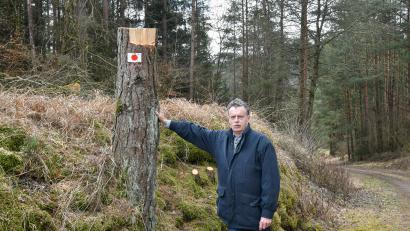 Bild: Petra Hartl
Erwin Vogel aus Fürnried ist entsetzt: Fast 40 Jahre alte, gesunde Kiefern sind abgesägt worden. Für ihn gibt es dafür keinen nachvollziehbaren Grund. Bauhof und Bürgermeisterin widersprechen seiner Kritik vehement.