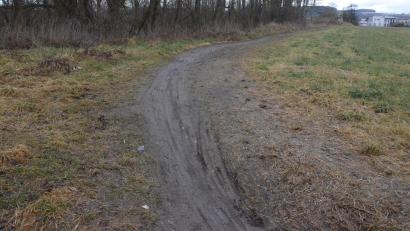 Bild: Kunz
Viel Matsch befindet sich auf dem Trampelpfad zwischen Mooslohe und neuem Festplatz. Nun gibt es Überlegungen, den Weg zu befestigen. Die Planung ist allerdings nicht so einfach.