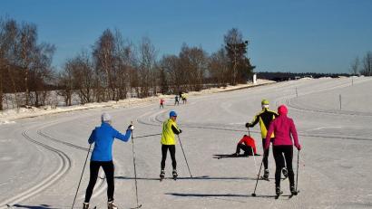 Archivbild: Siegfried Filipp/exb
Bestens präparierte Loipen, blauer Himmel, Sonnenschein: Solche Tage waren in der Saison 2024/2025 rar im Nordic-Sport-Zentrum Schönsee-Rosenhof. Der Pisten-Bully blieb zum zweiten Mal in Folge den ganzen Winter über in der Garage.