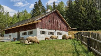 Bild: www.bayern.by/Florian Trykowski/exb
Wenn der Frühling kommt, beginnt auch im Freilandmuseum Oberpfalz die Saison.