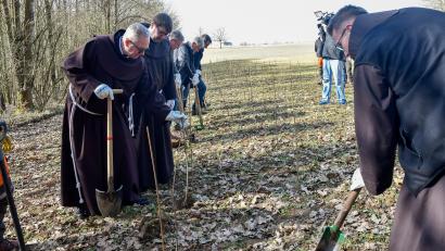 Bild: Petra Hartl
Am Mariahilfberg in Amberg entsteht gerade ein neuer Eichenwald. Die Franziskaner übernehmen die Patenschaft für die Bepflanzung von 800 Bäumen im Amberger Waldgebiet und haben selbst mit Hand angelegt.