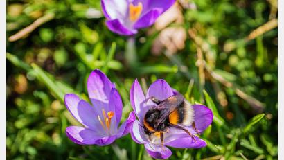 Bild: Andreas Arnold/dpa
Das Wochenende bringt milde Temperaturen und viel Sonnenschein.