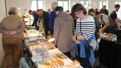 Bild: prh
530 Besucher sammelten und informierten sich bei der 26. Mineralien- und Fossilienbörse am Sonntag im GEO-Zentrum. Organisatoren, Aussteller und Besucher freuten sich über ein breites Angebot, das von Mineralien aus der Oberpfalz bis Madagaskar reichte.