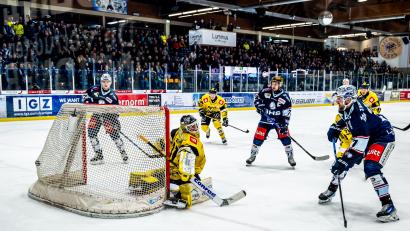Bild: Elke Englmaier
Die Blue Devils Weiden wissen, wie man die Krefeld Pinguine besiegt: Das letzte Heimspiel gewann der Aufsteiger mit 1:0 durch einen Treffer von Luca Gläser (rechts).