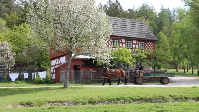 Archivbild: Eva Gröninger/exb
Frühling im Freilandmuseum in Neusath: Dort startet am nächsten Samstag die Saison.