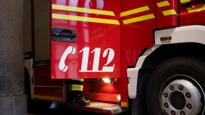 Symbolbild: Niklas Treppner/dpa
Die Feuerwehr in Marktredwitz suchte vergeblich nach dem Insekt, das eine 78-Jährige gebissen haben soll.