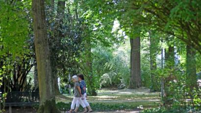Archivbild: Gabi Schönberger
Wie lässt sich Weiden (hier der Max-Reger-Park im Sommer) am besten vor starker Hitze schützen? Dazu etwa könnte der Bürgerrat Ideen liefern.