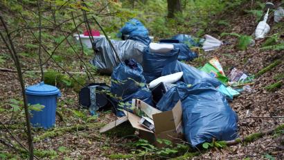 Symbolbild: bkr
Illegale Müllablagerungen – wie hier auf dem Symbolbild – waren jetzt ein Thema im Stadtrat Mitterteich.