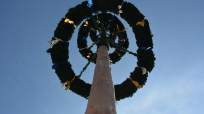 Archivbild: jr
Ein Waldsassener Maibaum aus den vergangenen Jahren von unten gesehen.