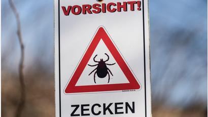 Symbolbild: Patrick Seeger/dpa
Diese Warnung vor Zecken sollte man ernst nehmen, sagt ein Mann aus dem Landkreis Amberg-Sulzbach, der nach einem Zeckenbiss schwer an FSME erkrankte.