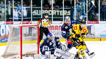 Bild: Elke Englmaier
Die Weidener Marco Wölfl (von links) und Fabian Ribnitzky verteidigen gemeinsam gegen Maximilian Hops von den Krefeld Pinguinen.