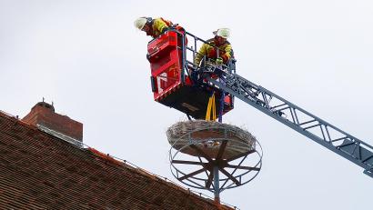 Bild: bsc
Passgenau setzten Max Winkler und Bastian Kaiser (im Korb von links) von der Feuerwehr Erbendorf das Storchennest in die vorgesehene Halterung.