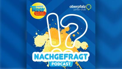 Bild: Radio TEDDY/Oberpfalz-Medien
Der neue Kinder-Podcast "Nachgefragt"
