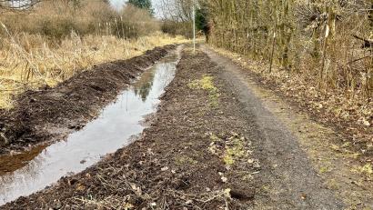 Bild: Gabi Schönberger
Links Biotop, rechts Pfad. Dazwischen ein Bächlein, dessen Wasser eigentlich das kleine Feuchtgebiet zwischen Bahndamm und Waldnaab in Neustadt/WN speisen sollte. Doch da kommt es nicht mehr hin. Für Rohrsänger und Haselmaus ist das buchstäblich ein existentielles Problem, für Fußgänger immerhin noch ärgerlich.