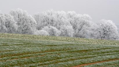 Symbolbild: Armin Weigel/dpa
Wie war das Wetter in der Oberpfalz? Wetter-Experte Andy Neumaier analysiert die Winter-Wetterdaten für Weiden.