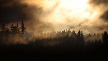 Symbolbild: Karl-Josef Hildenbrand/dpa
Hinter Regenwolken und aufsteigendem Nebel geht hinter einem Wald die Sonne unter.