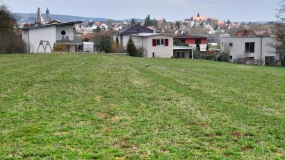Bild: Petra Hartl
Auf dieser Wiese hinter der Staatlichen Realschule soll ein neues Baugebiet in Amberg mit dem Namen „Sonnleite 2“ entstehen.
