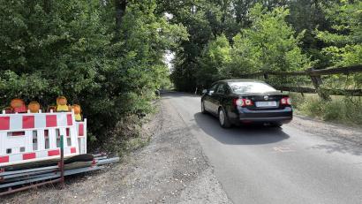 Archivbild: Wolfgang Steinbacher
Wegen Arbeiten am Baumbestand wird der Langangerweg gesperrt.