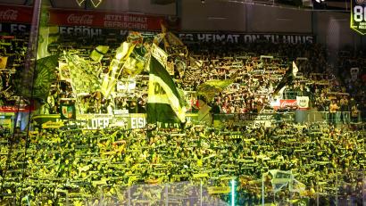 Bild: samla.de
Über 8000 Zuschauer sorgten am Sonntag in der Yayla-Arena für eine atemberaubende Stimmung beim Play-off-Spiel der Blue Devils Weiden bei den Krefeld Pinguinen.