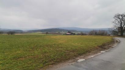 Bild: amö
Hier entsteht das neue Gewerbegebiet zwischen B 22 und der "Rotkreuzlinde". Das Naturdenkmal am Rande des Gewerbegebietes muss erhalten und geschützt werden.