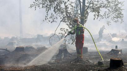 Bild: Ralf Hettler/dpa
Der Angeklagte soll für diesen brennenden Wald in Unterfranken verantwortlich sein. (Archivfoto)